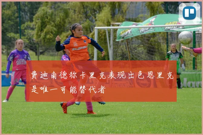 费迪南德称卡里克表现出色恩里克是唯一可能替代者