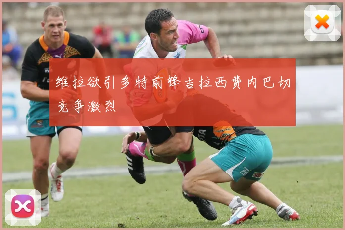 维拉欲引多特前锋吉拉西费内巴切竞争激烈