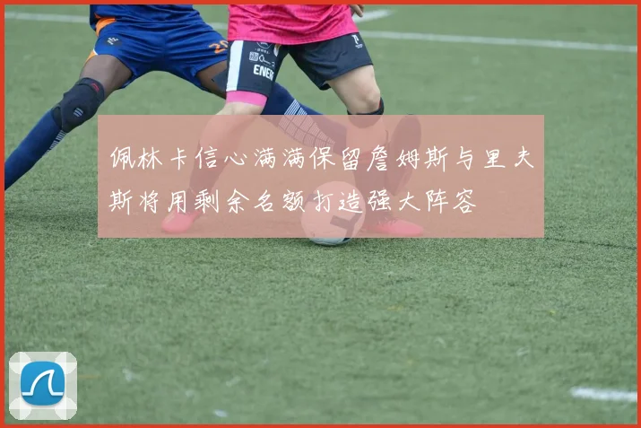 佩林卡信心满满保留詹姆斯与里夫斯将用剩余名额打造强大阵容